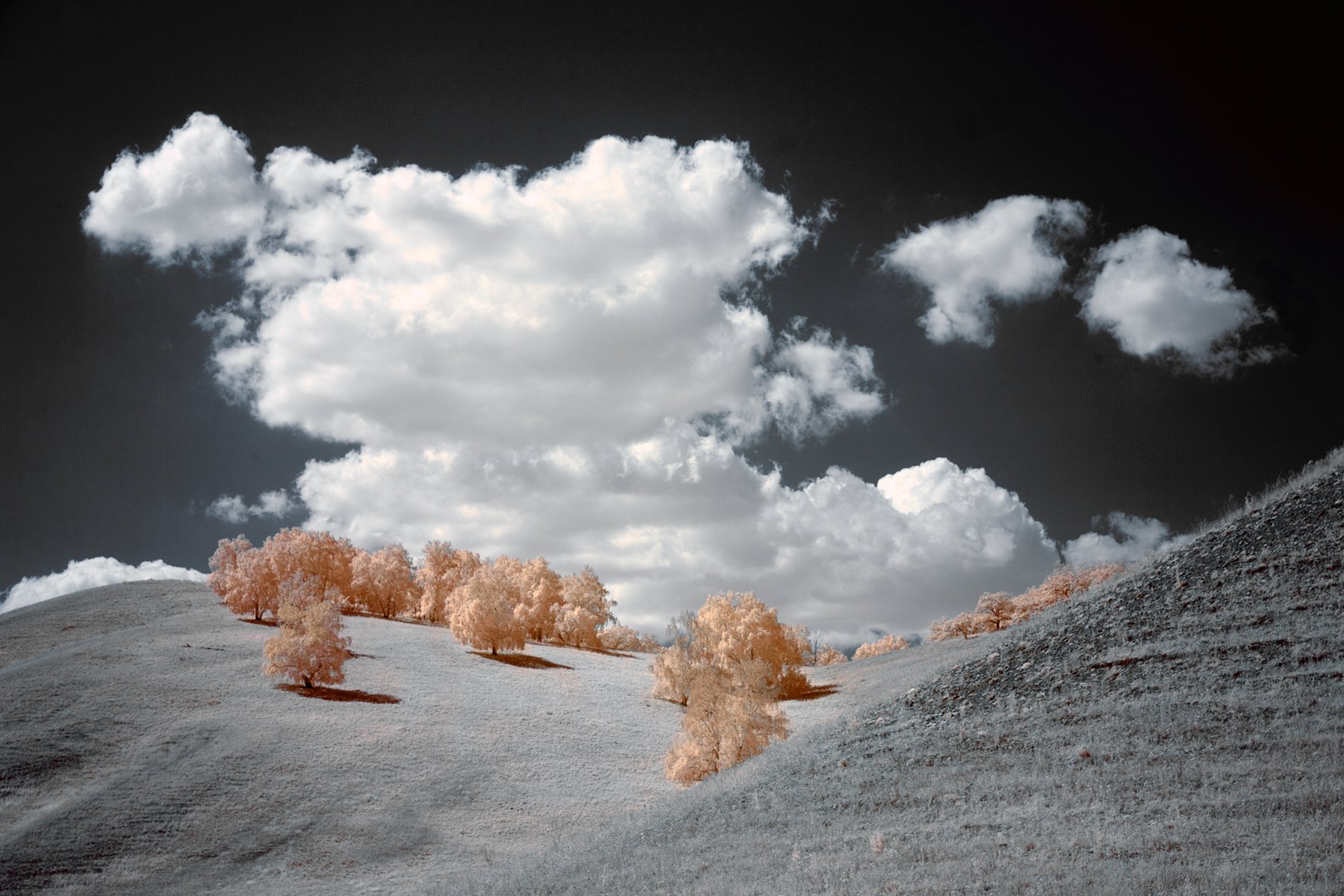 infrared, landscape,clouds,nills,tree,Oleg_Grachev, Олег Грачёв