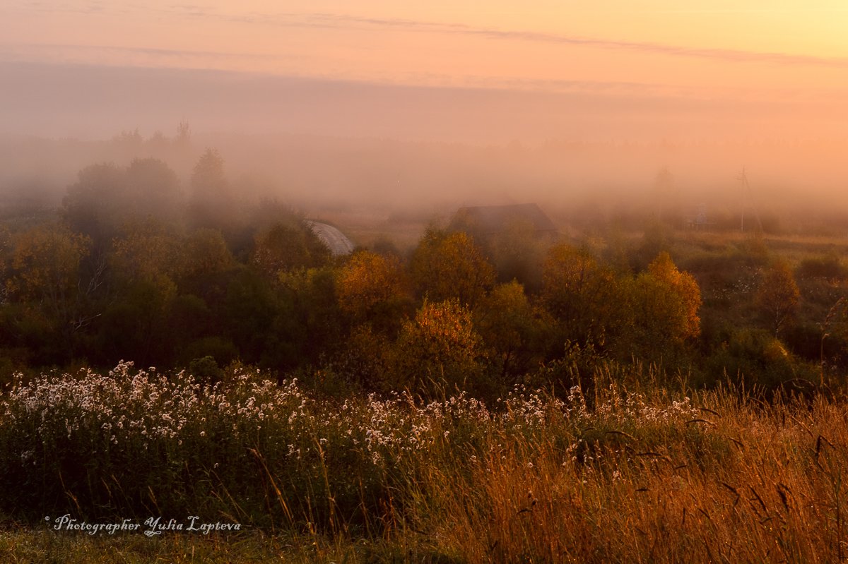 пейзаж,природа,осень,сентябрь,россия,утро,расвет,ленинградская область, Юлия Лаптева