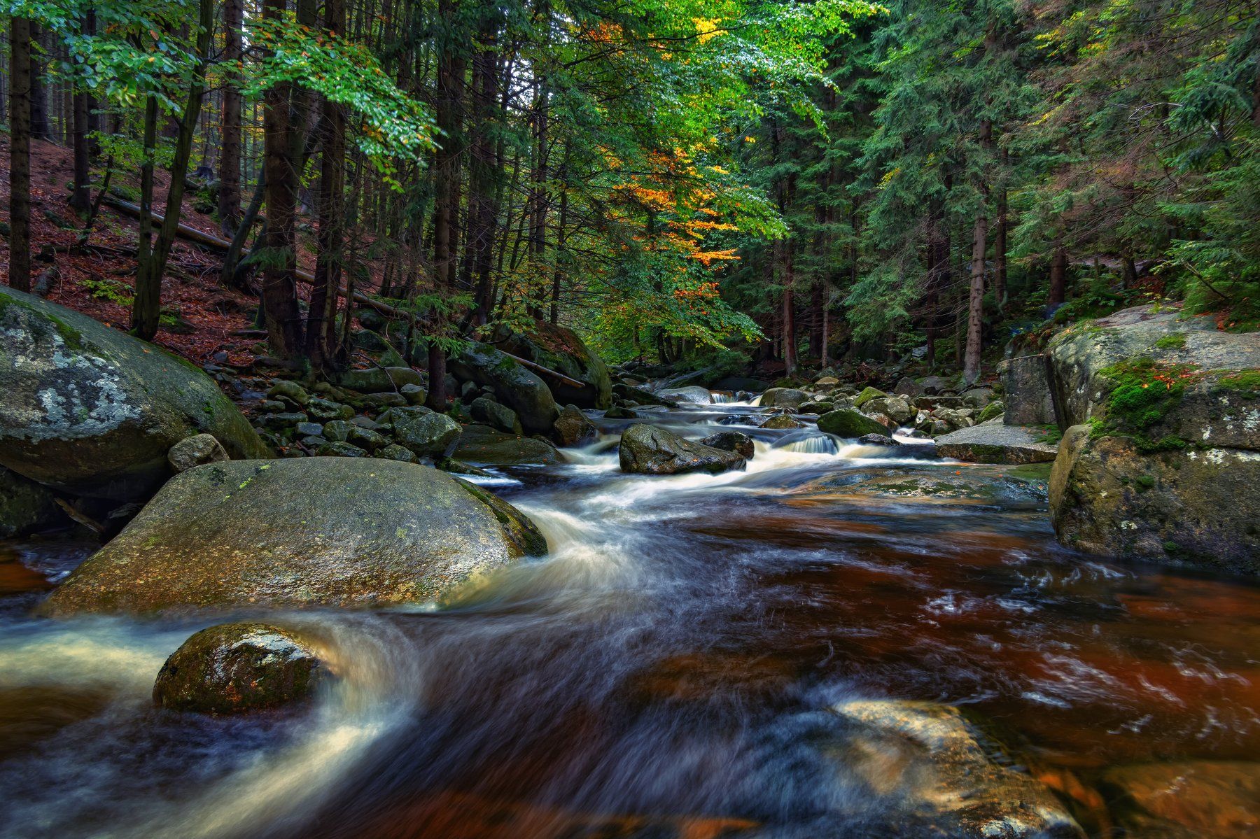 природа лес деревья осень листва  путешествия пейзаж тени  чехия вода река водоём, Андрей Ожерельев
