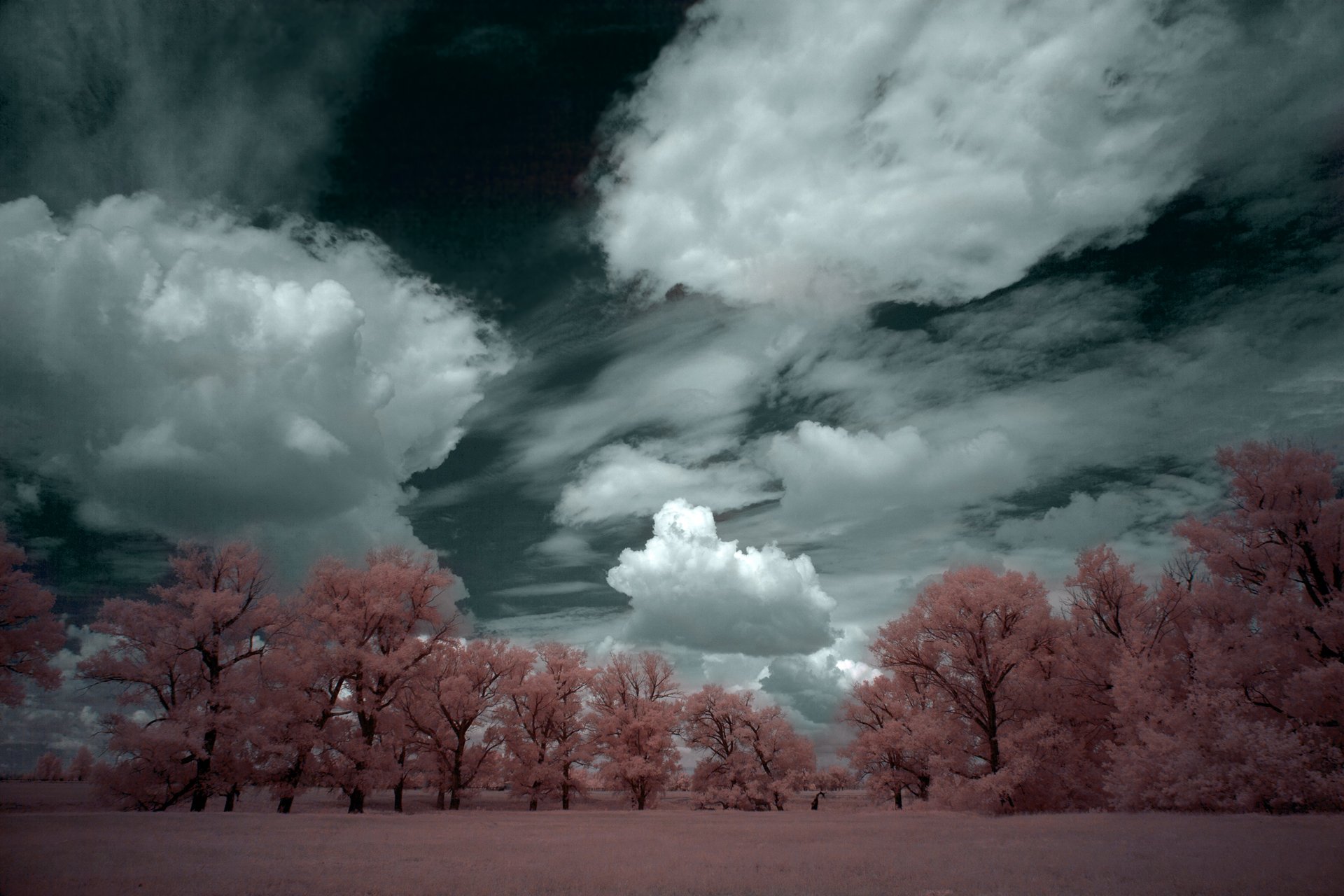 пейзаж, инфракрасный, фильтр,небо, облака, infrared,landscape.canon,canonlens,oleg_grachev, Олег Грачёв
