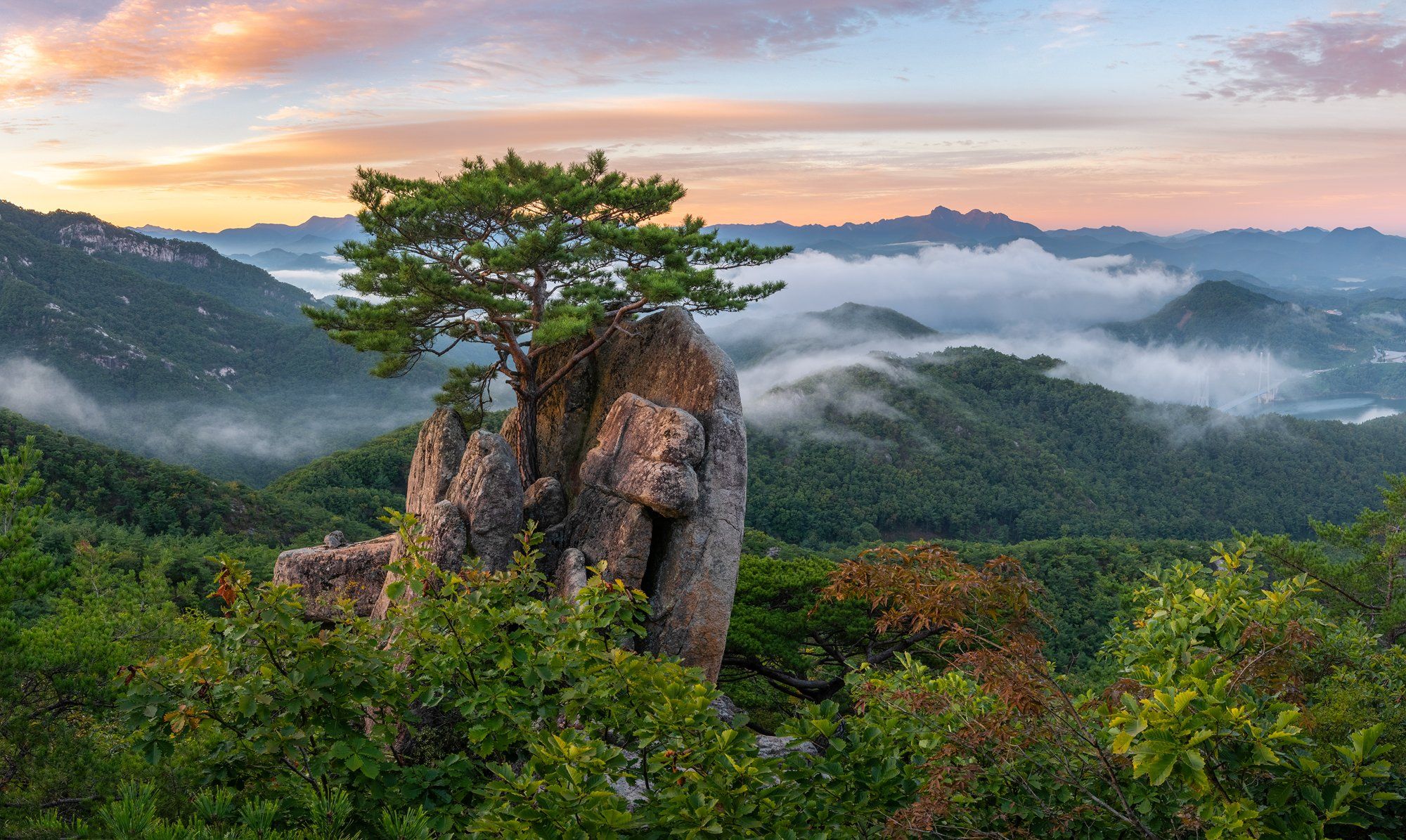 mountain peak, Bonsai, pine tree, Jaeyoun Ryu