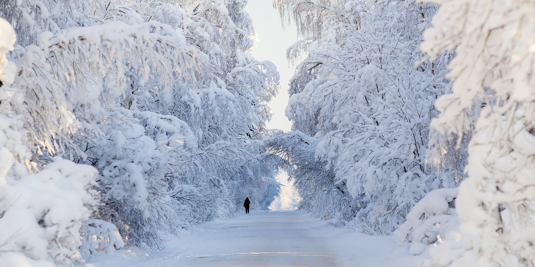 зима, снег, иней, мороз, дорога, Александр Игнатьев