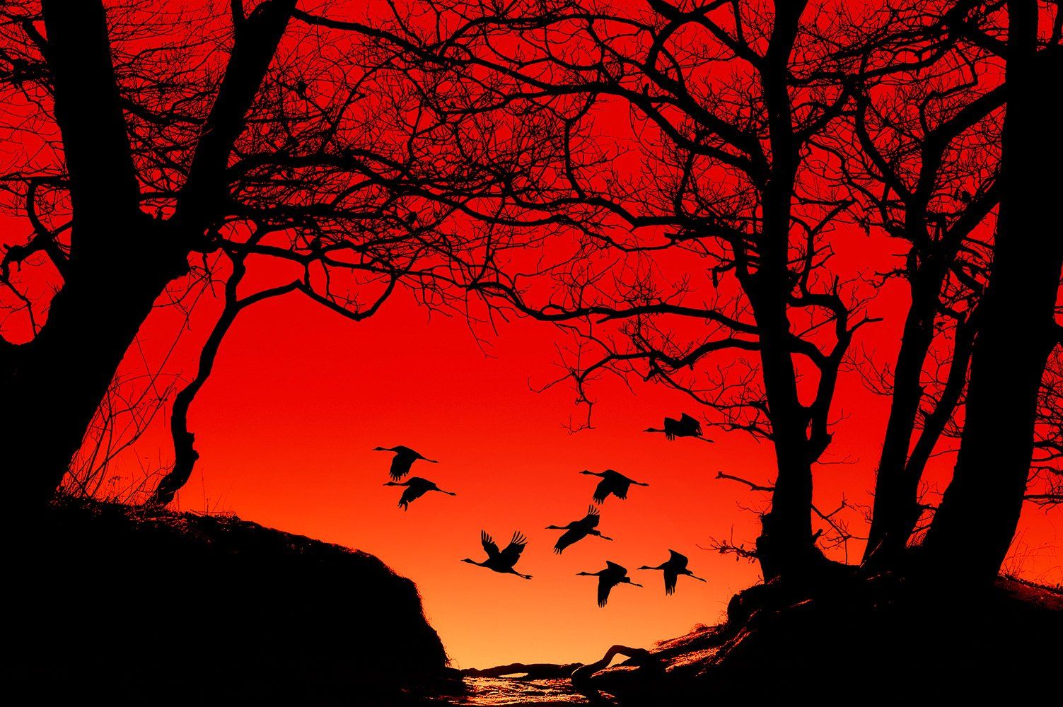 , Геннадий Чеботарев