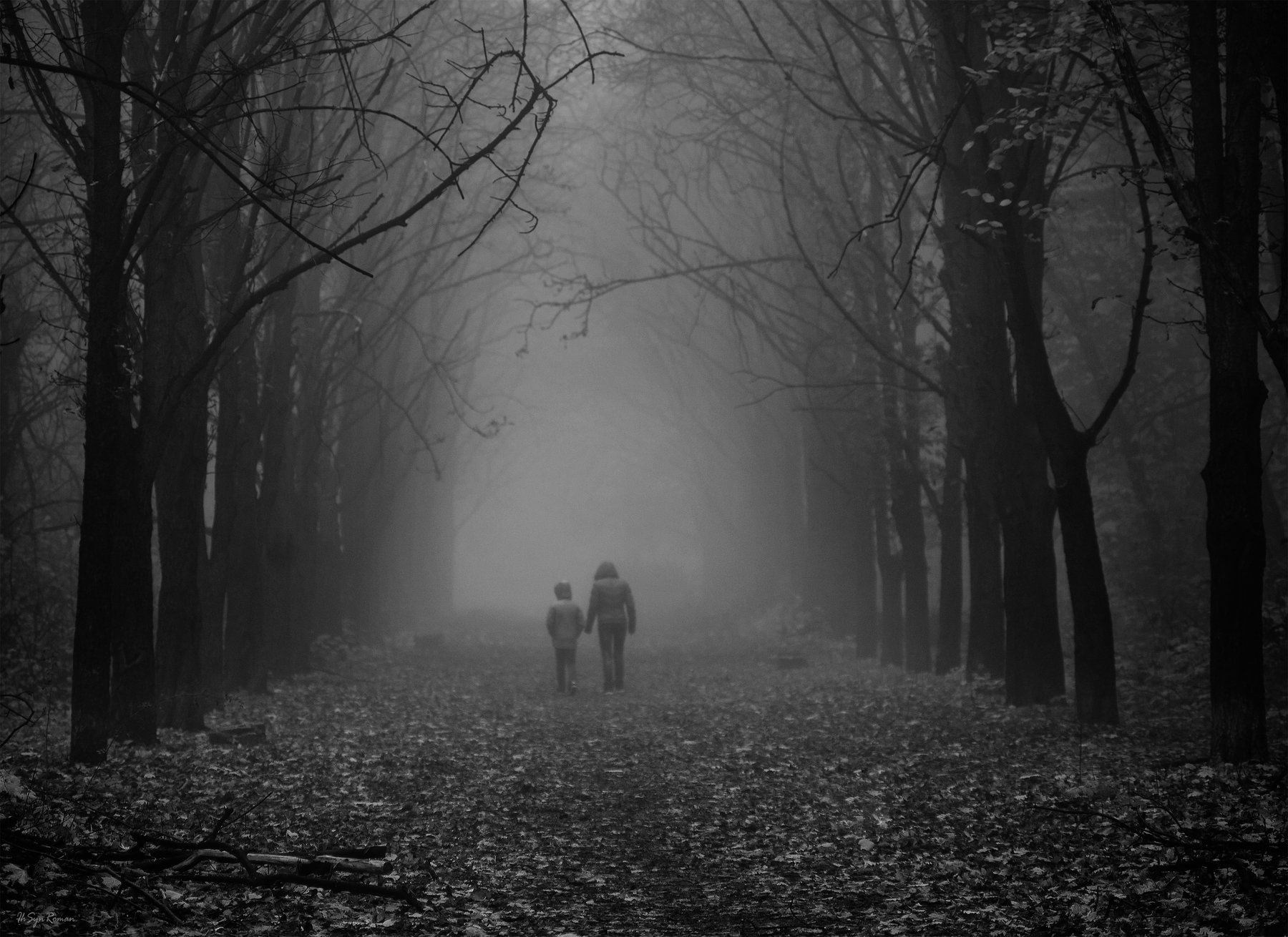 осень, утро, туман, парк, двое, люди, Roma  Chitinskiy