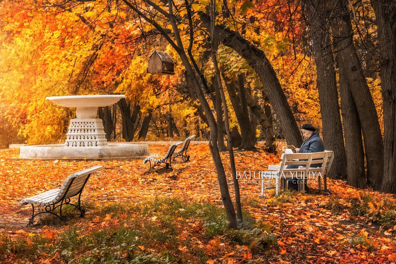 москва, нескучный сад, осень, Юлия Батурина