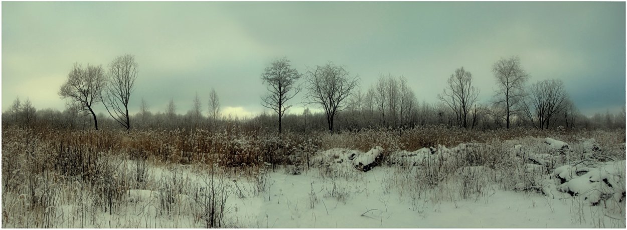 панорама, зима, пейзаж, природа, SvetLana