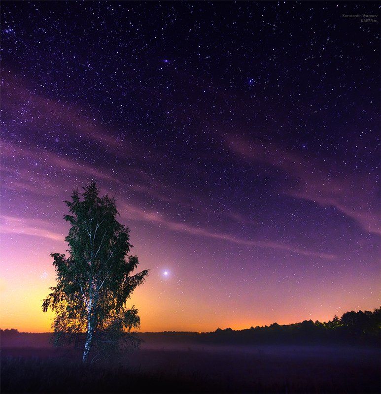 ночь, звезды, небо, дерево, туман, Konstantin Voronov