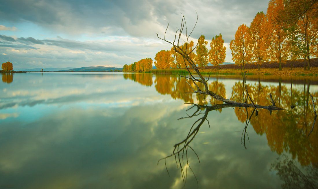 autumn;, mirror;, water;, tree;, reflection, Philip Peynerdjiev