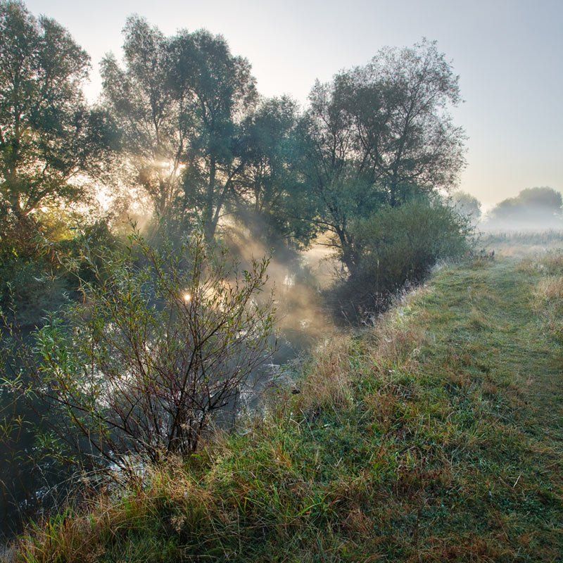 туман, река, утро, осень, oleksandr