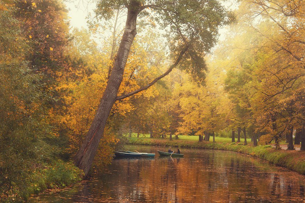 природа, пейзаж, парк, лодка, пара, свидание, осень, золотая, пруд, вода, отражение, dyadyavasya, Дмитрий Шамин