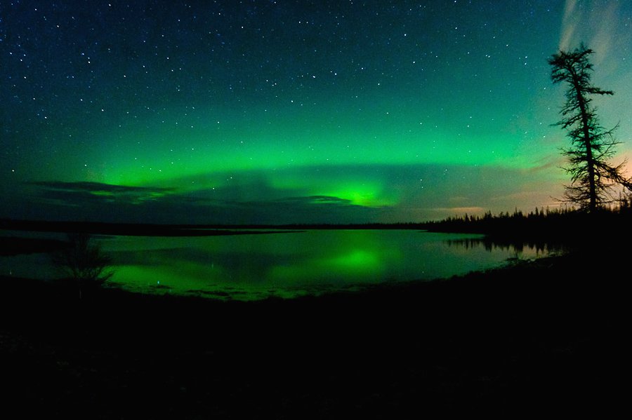aurora borealis, север, ночной пейзаж, северное сияние, Danil Husainov