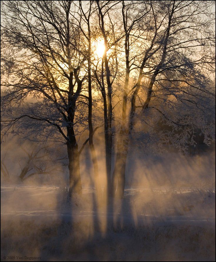 зимний, рассвет, утро, снег, дерево, пехорка, sony, a100, alpha100, sal1870, Юрий Дегтярёв (Yuri Degtyarev)