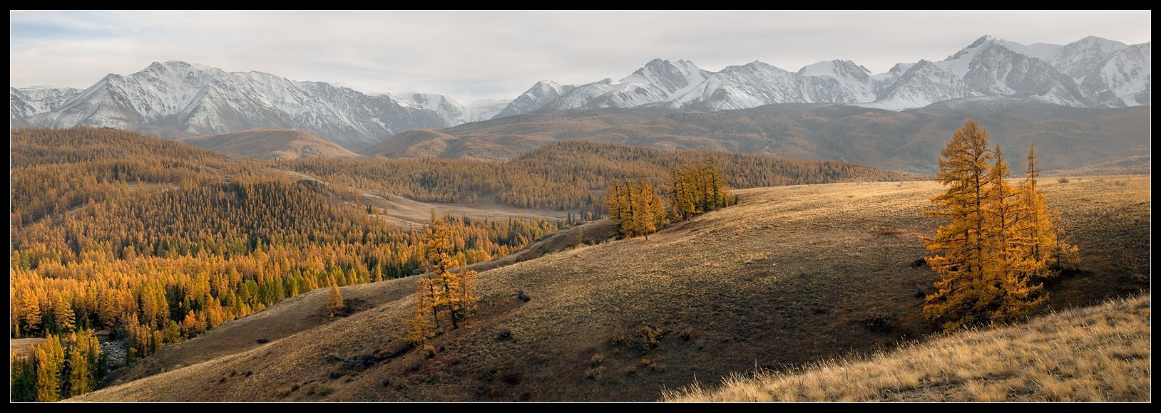 алтай ,река, актру, долина, осень, Виктория Роготнева