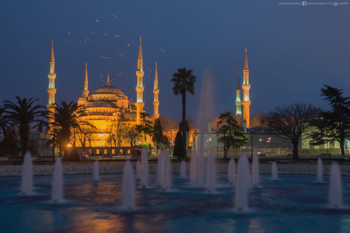Мечеть Султан Ахмед, Стамбул, Турция, мечеть, Султан Ахмед, синий, чайка, небо, сумерки, свет, электрический,, Валерий Романов
