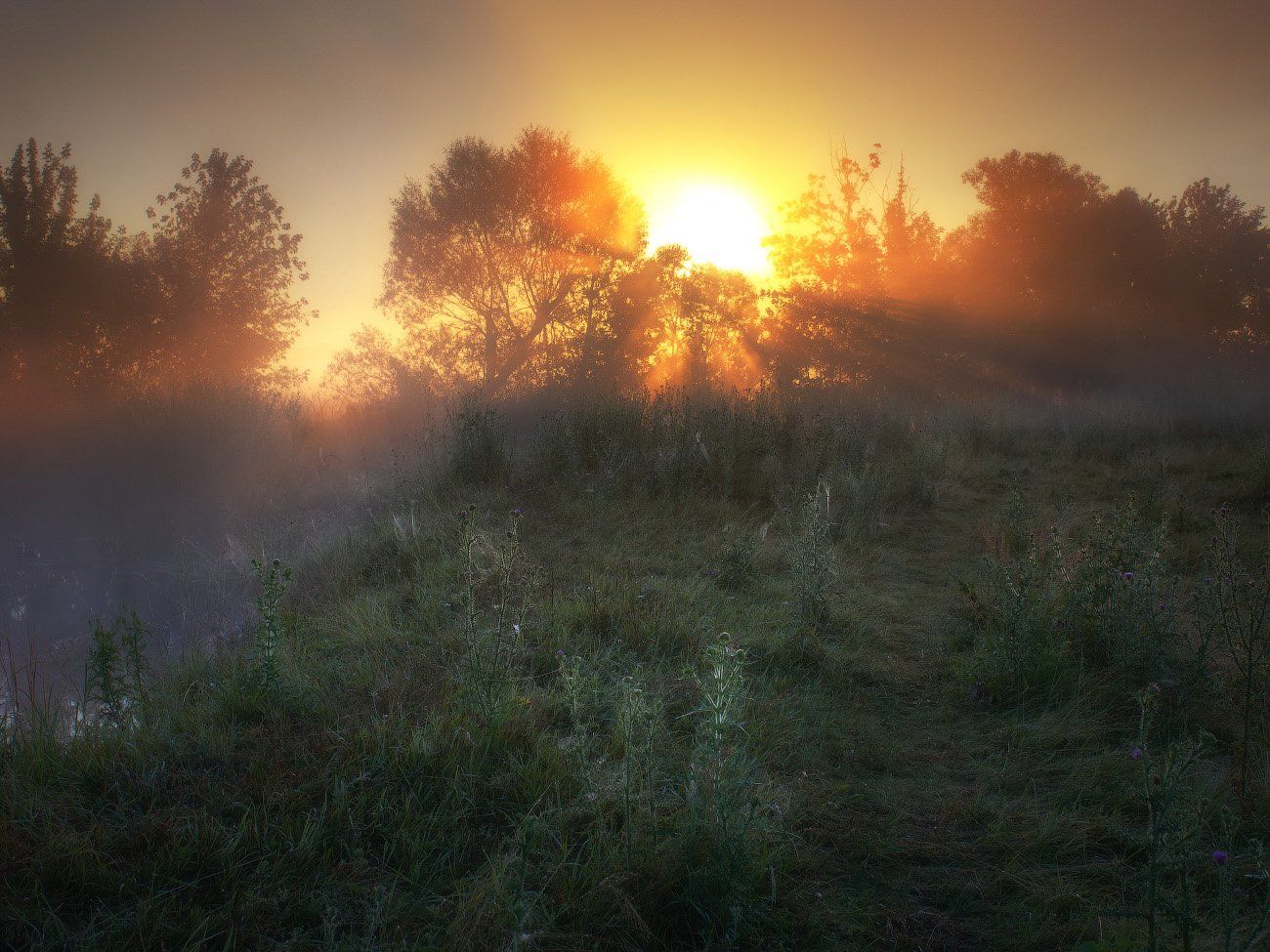 Туман, рассвет, солнце, утро, украина, волчья, fog, dawn, sun, ukraine, morning, Виктор Тулбанов