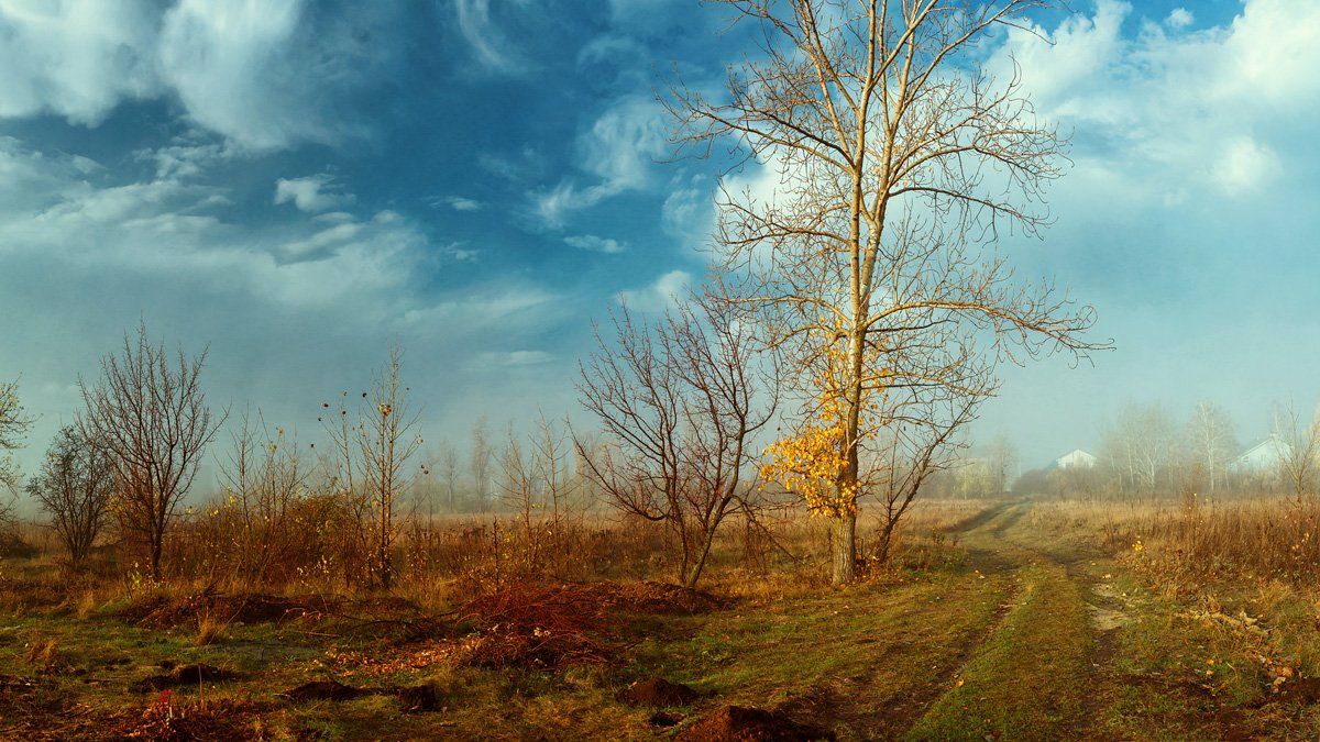 пейзаж, цвет, осень, степь, дымка, туман,  красота, контраст, дерево, Марина Кондратова