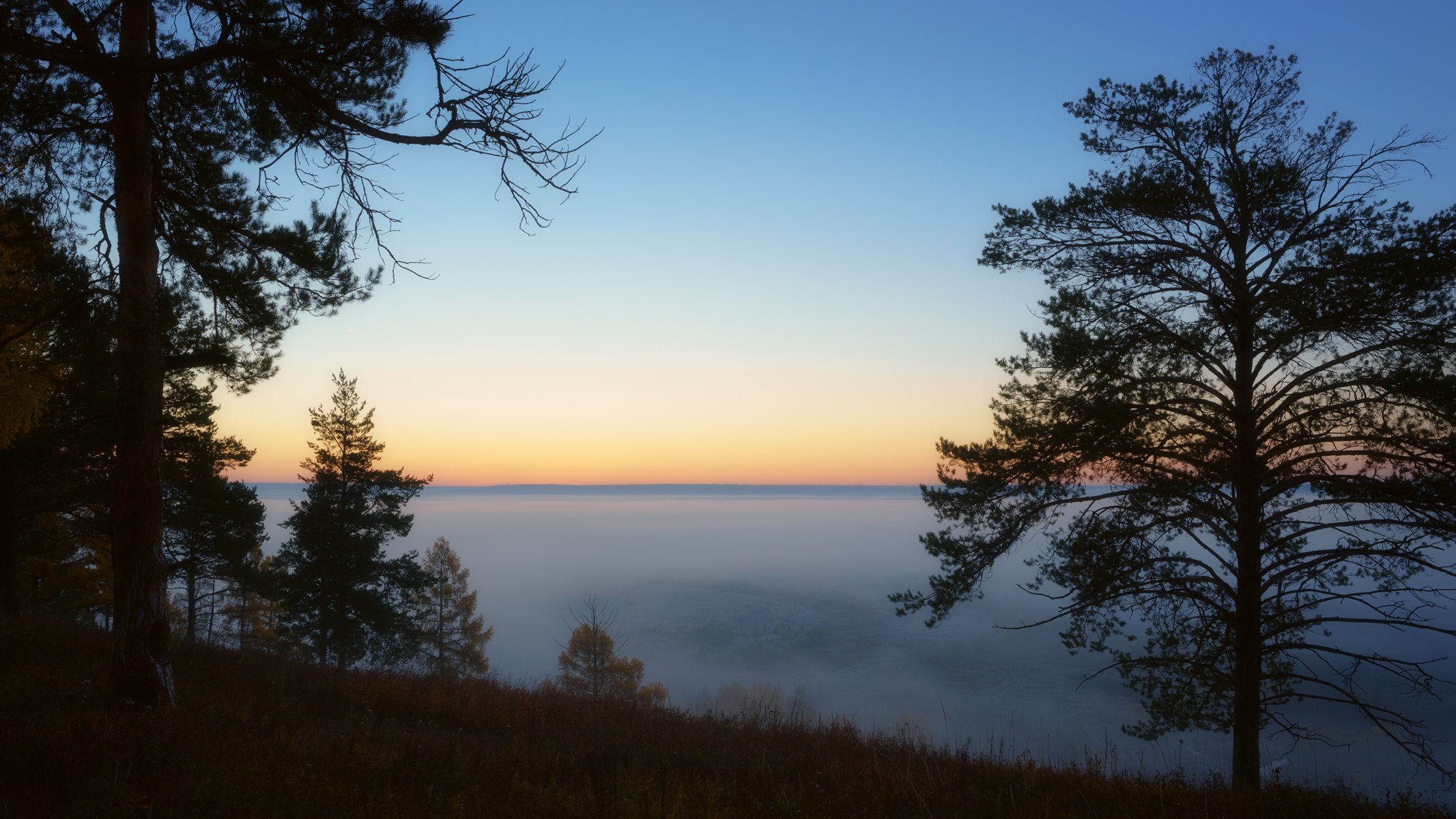 рассвет,туман,сосны,раннее утро,dawn, fog, pine, early morning., Сергей Козлов
