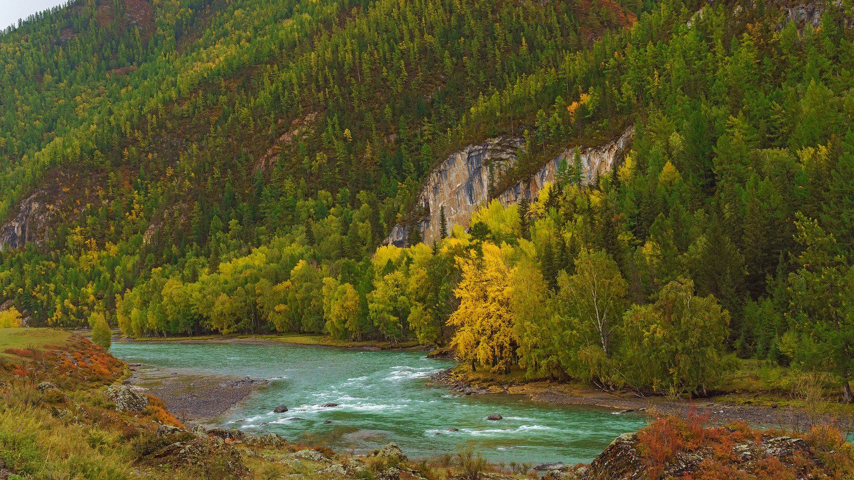 пейзаж, осень, река, Горный Алтай , Александр Потапов