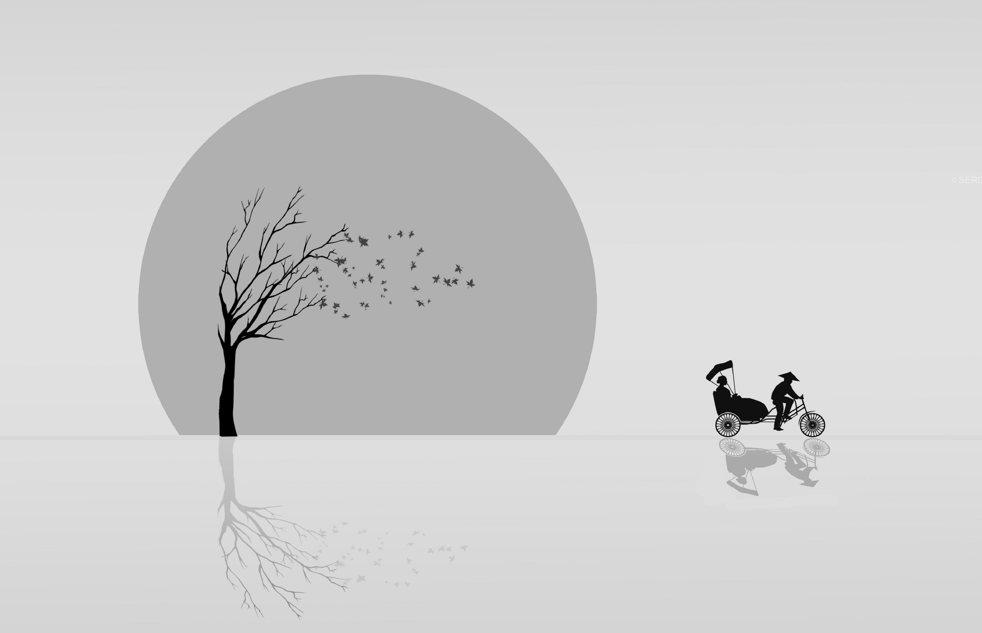осень, природа, дерево, солнце, рикша, Sergii Vidov