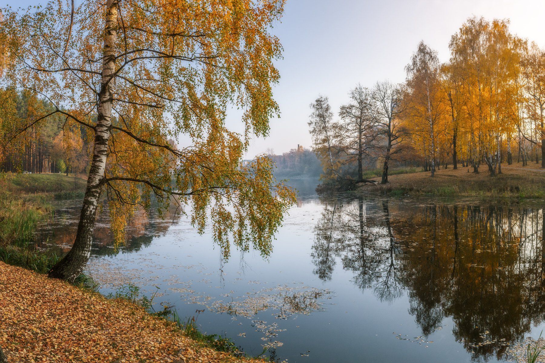 природа, пейзаж, осень, подольск, отражение, Мартыненко Дмитрий