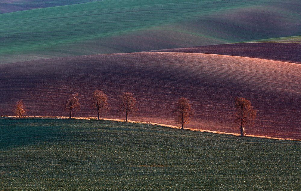 Moravia,czeh,fields,landscapes, Eriks Zilbalodis