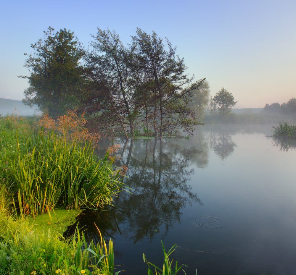 туман, утро, северский донец, украина, пейзаж, река, ukraine, fog, river, landscape, Виктор Тулбанов