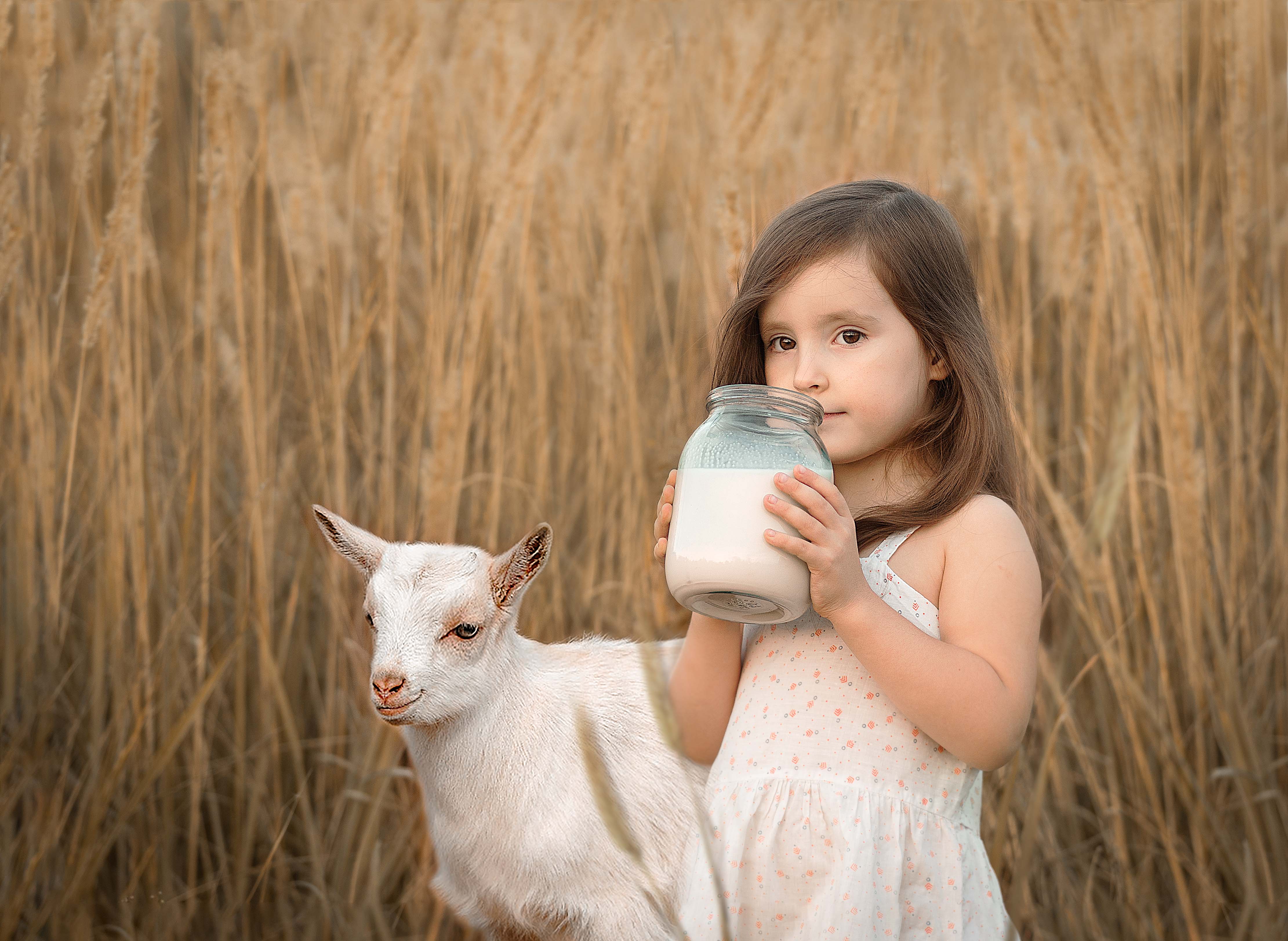 коза, ребенок, трава, молоко, взгляд, банка, Юлия Ткаченко