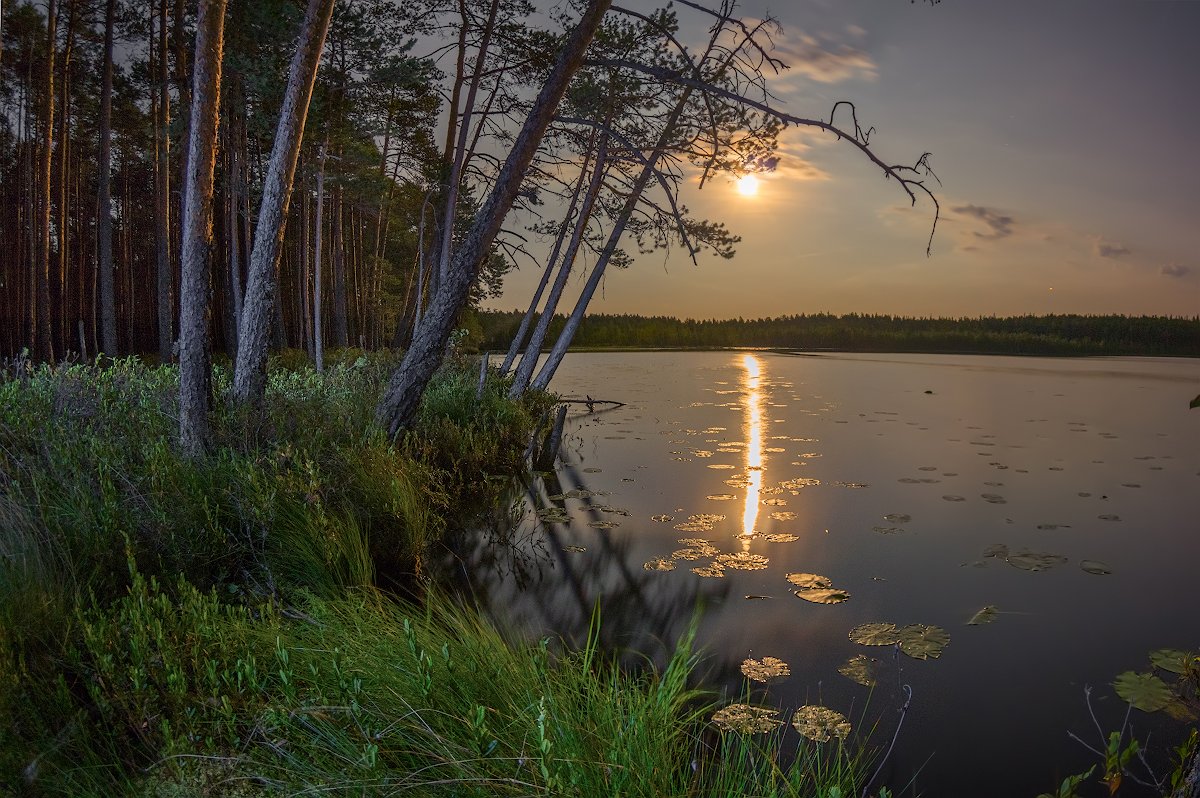 луна ночь озеро лунная дорожка лес берег сумерки, Марина Мурашова