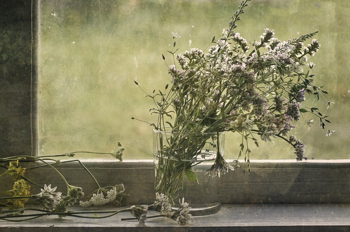 букет, цветы, полевые, травы, алтайские, лето, подоконник, окно, стакан, Игорь Токарев