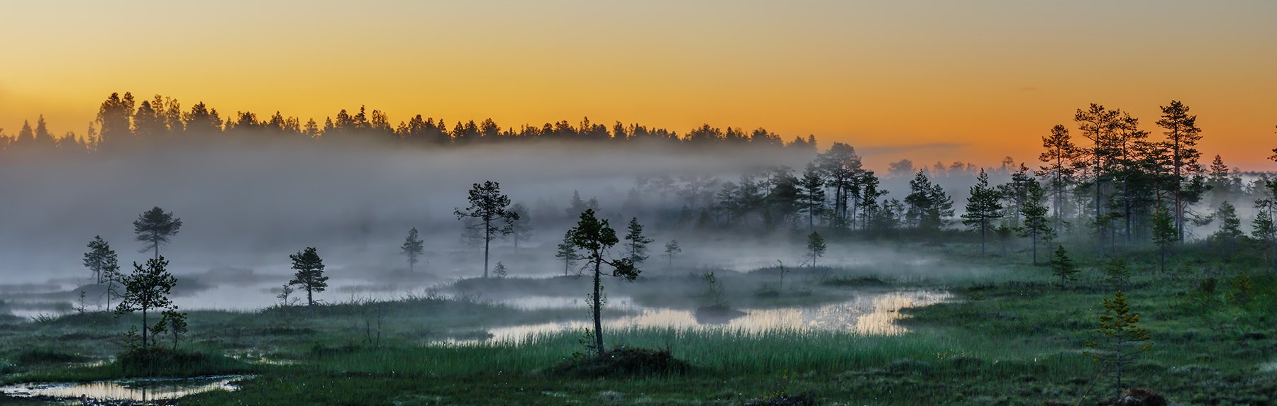 природа, пейзаж, карелия, панорама, утро, восход, рассвет, болото, туман,, Альберт Беляев