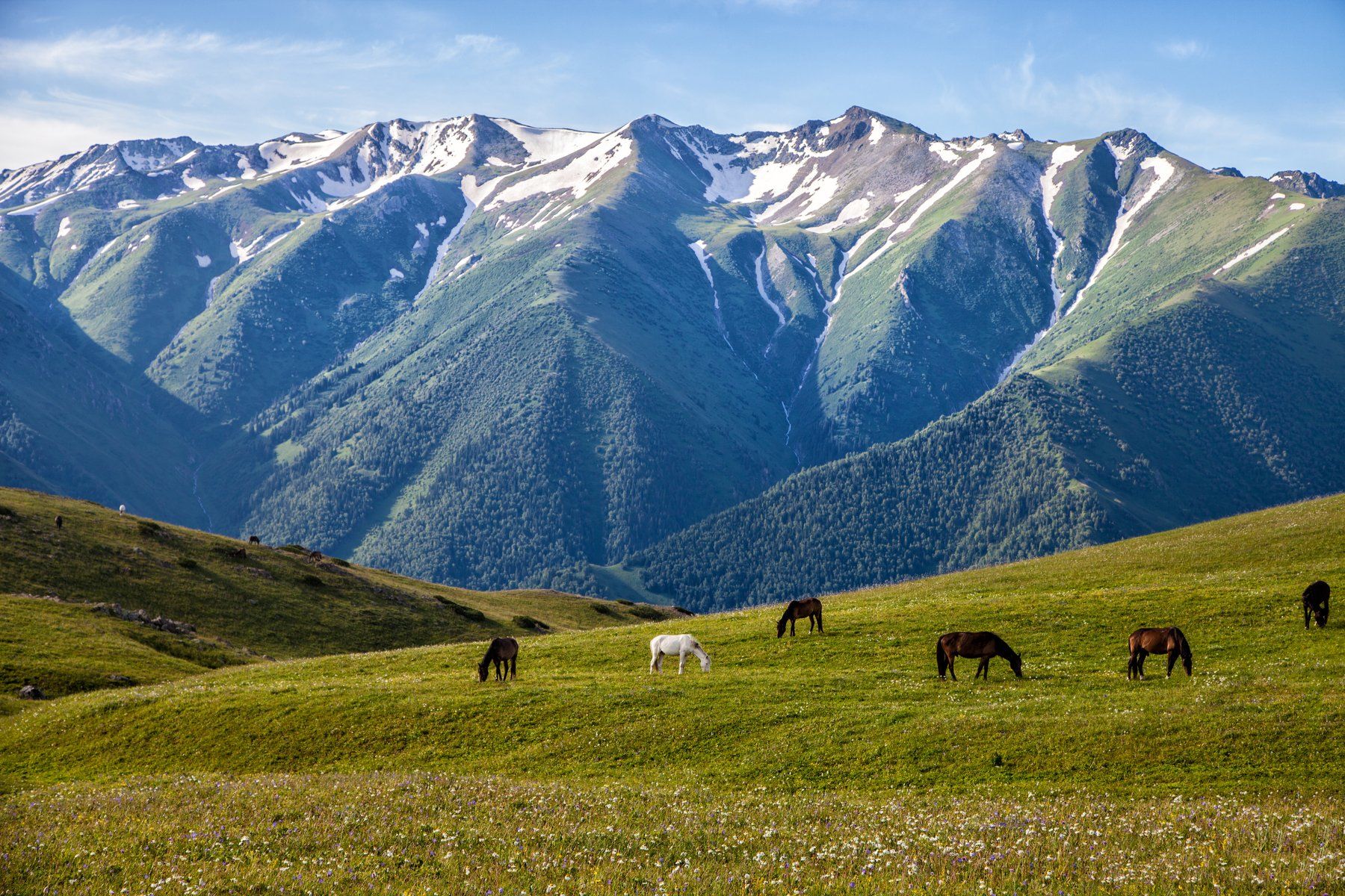 Горный 7 букв. Частное фото пейзажи Казахстана.