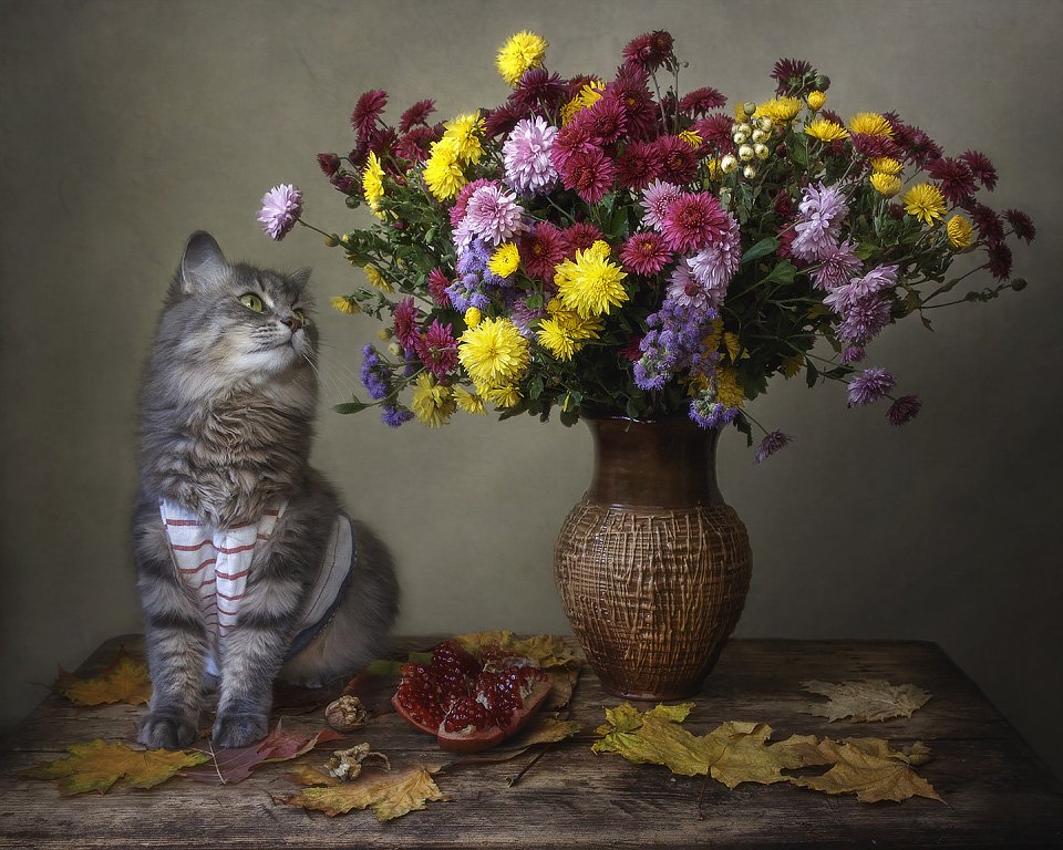 натюрморт, осень, хризантемы, букет, кошки, домашние животные, кошка Масяня, Ирина Приходько