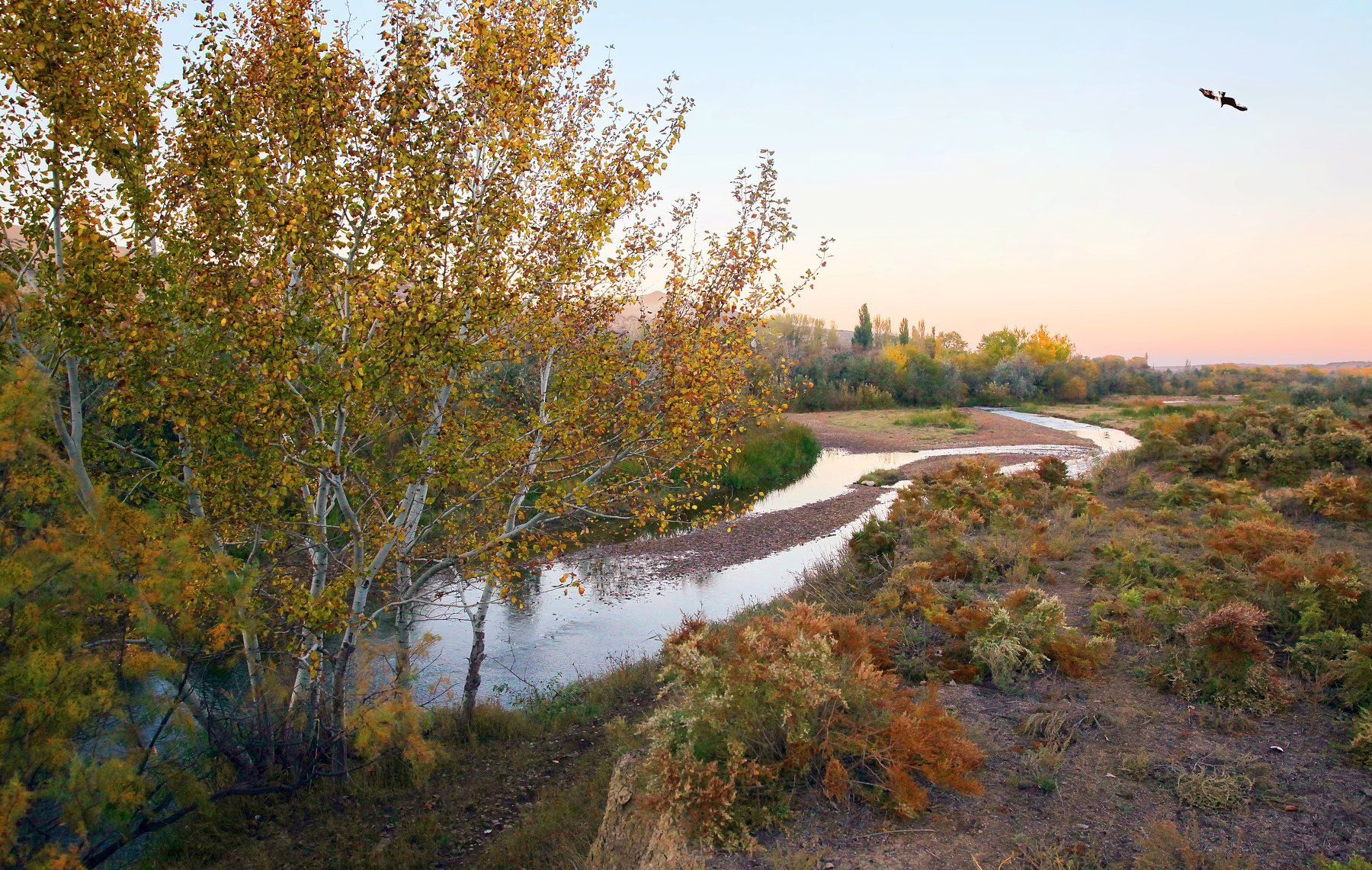 осень,река,вечер,природа,пейзаж, Marat Magov