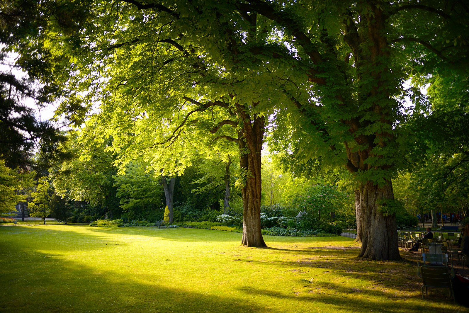 paris, jardin du luxembourg, Olga N.