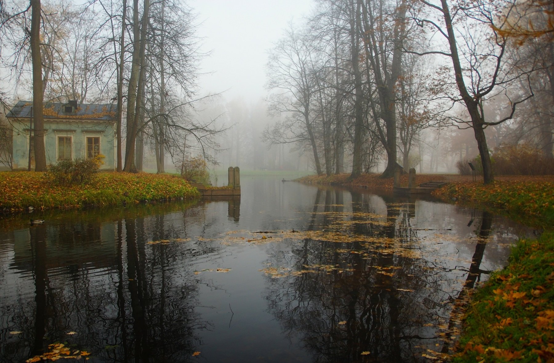 October morning. Фотограф Сергей Андреевич