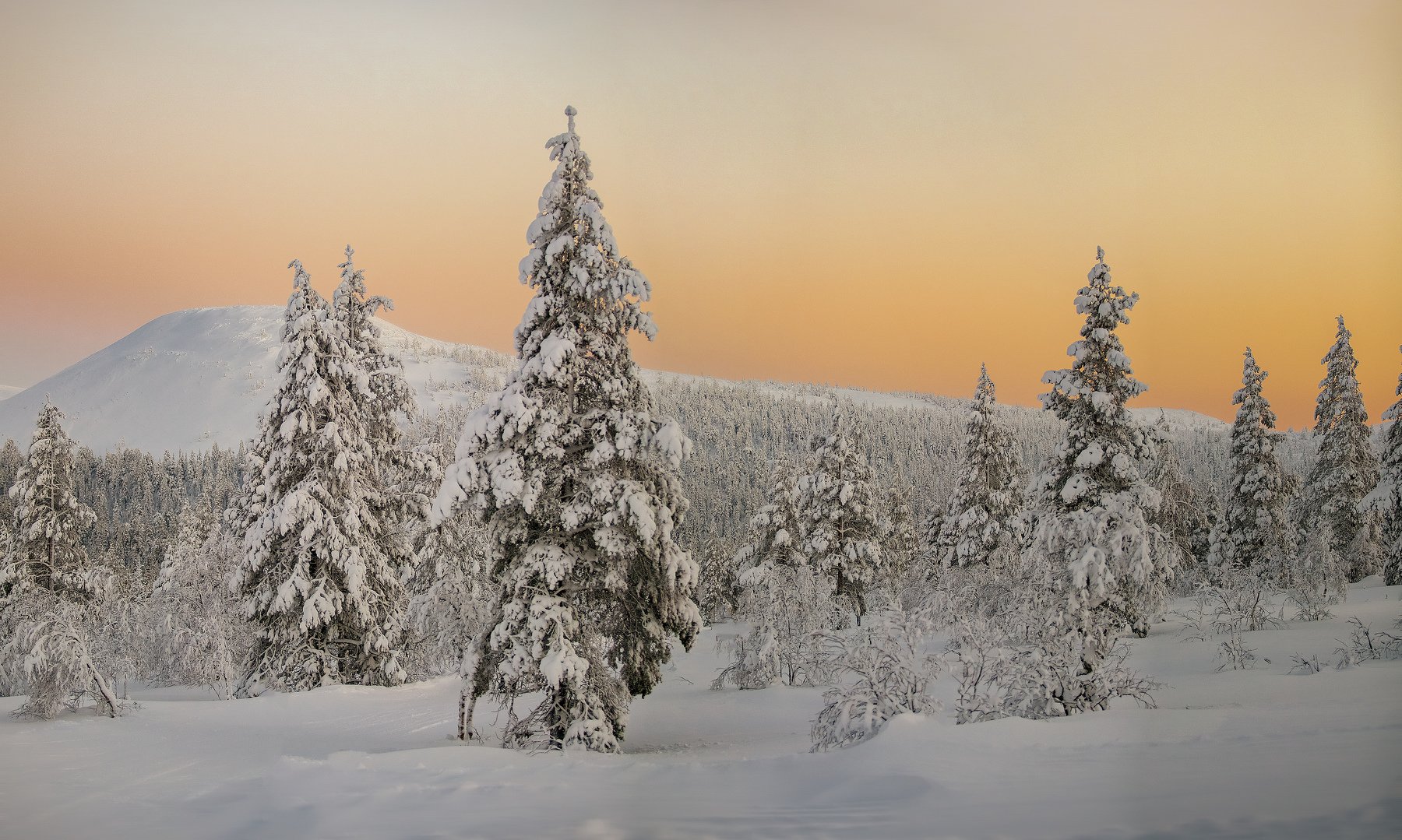 север, заполярье, снег, горы, финляндия, зима, Александр Игнатьев