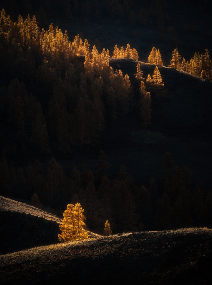 алтай, пейзаж, осень, Александр Кукринов