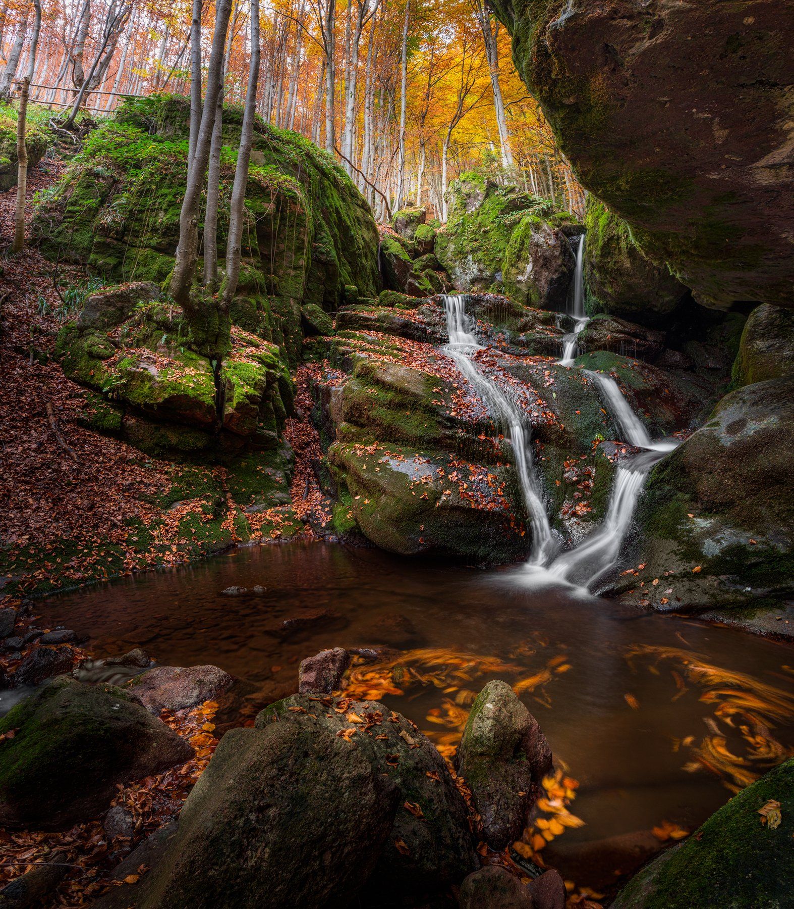 landscape nature scenery forest wood mountain waterfall fall autumn leaves balkan stara planina bulgaria, Александър Александров