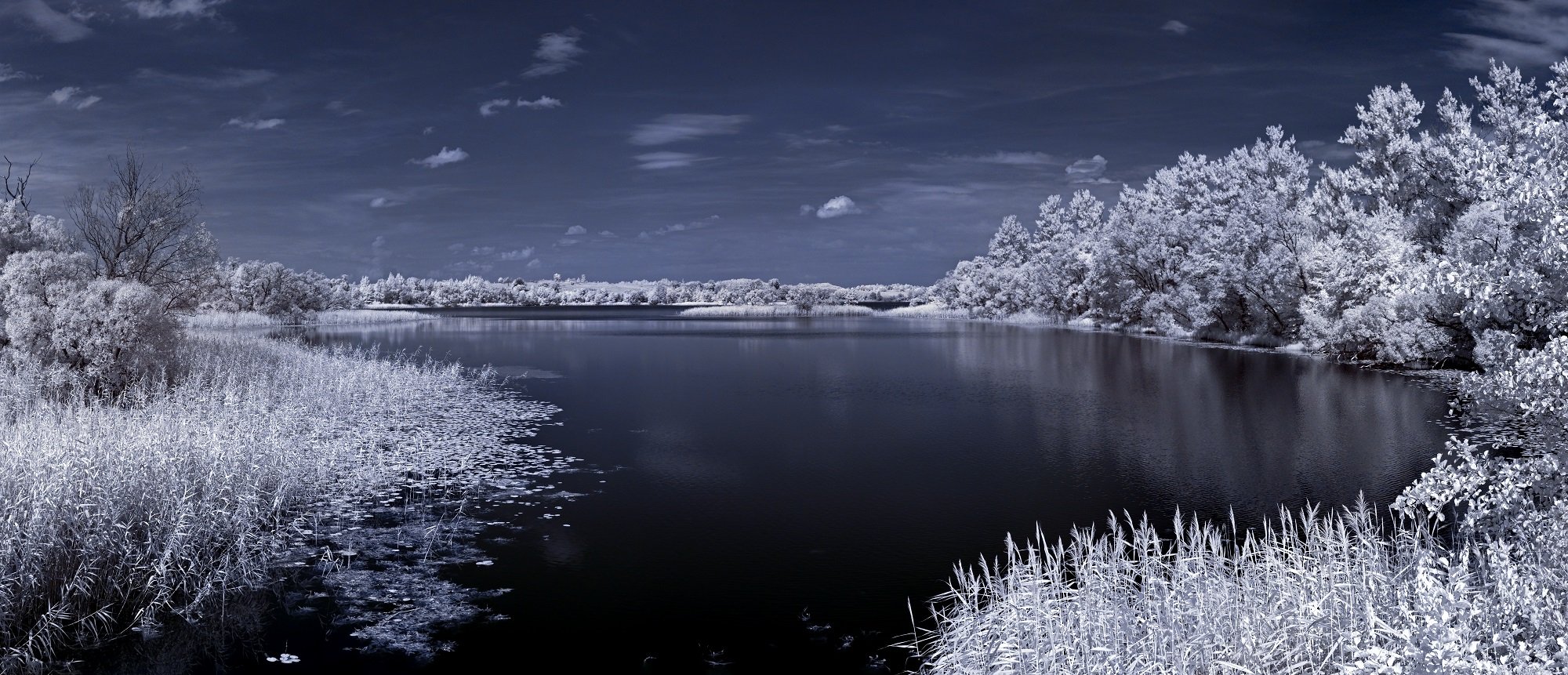 infrared,ик-фото,инфракрасное фото,инфракрасная фотография,пейзаж,природа,беларусь,лето, Sixten ( Сергей )