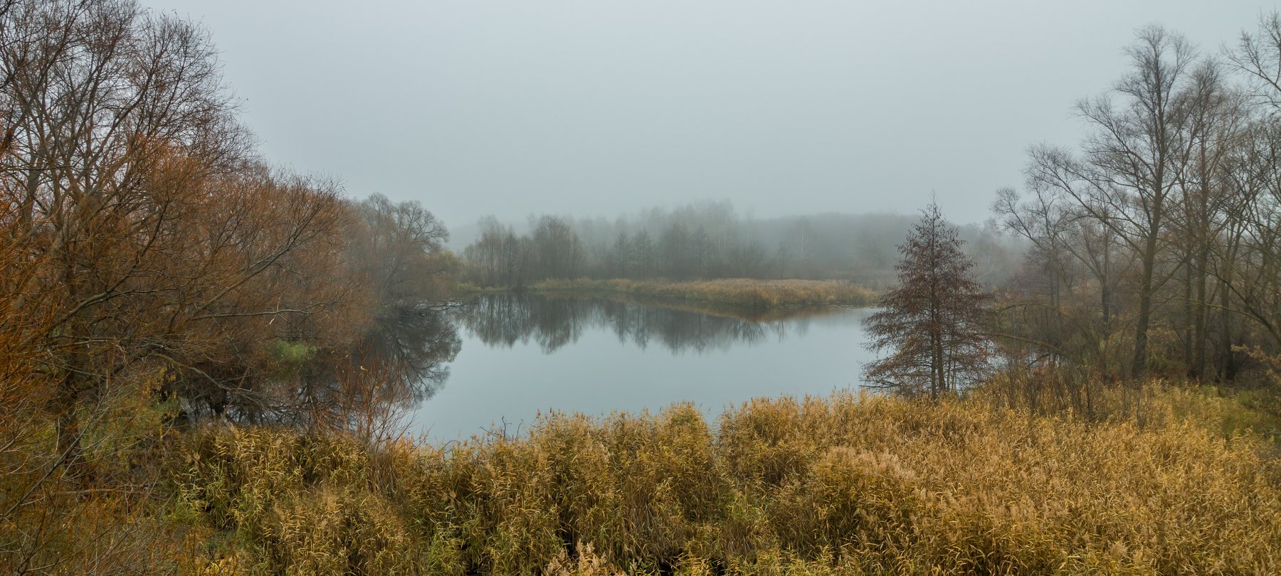 туман, осень, озеро, лес, вода, Руслан Востриков