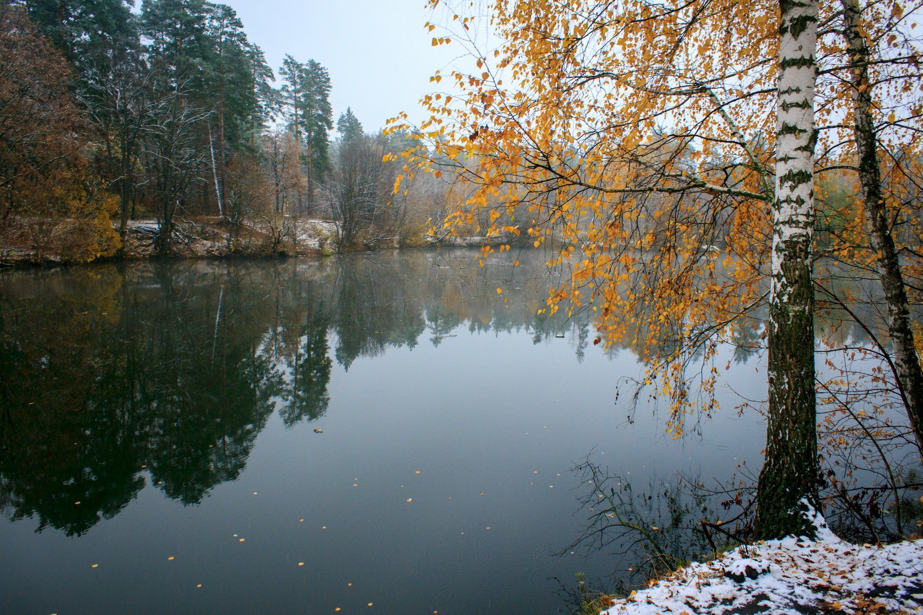 пейзаж, осень, озеро, береза, отражение, Efremenko Nikita