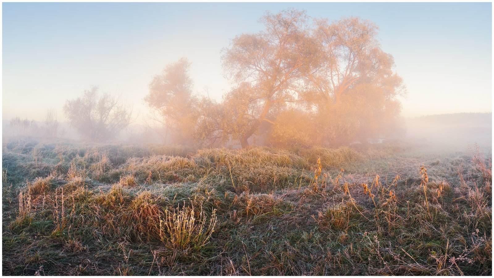 утро, туман, рассвет, осень, заморозок, изморозь, луг, Станислав Саламанов