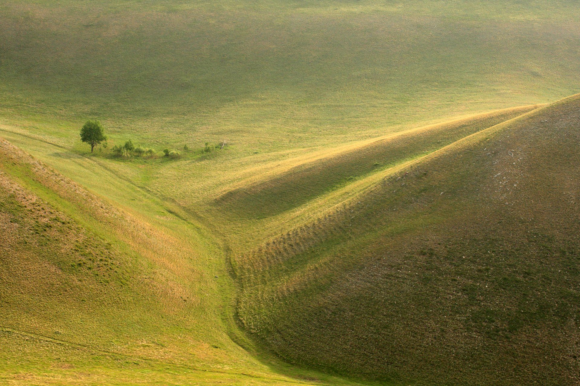 green,may,landscape,canon,canonlens,oleg_grachev,hills,, Олег Грачёв