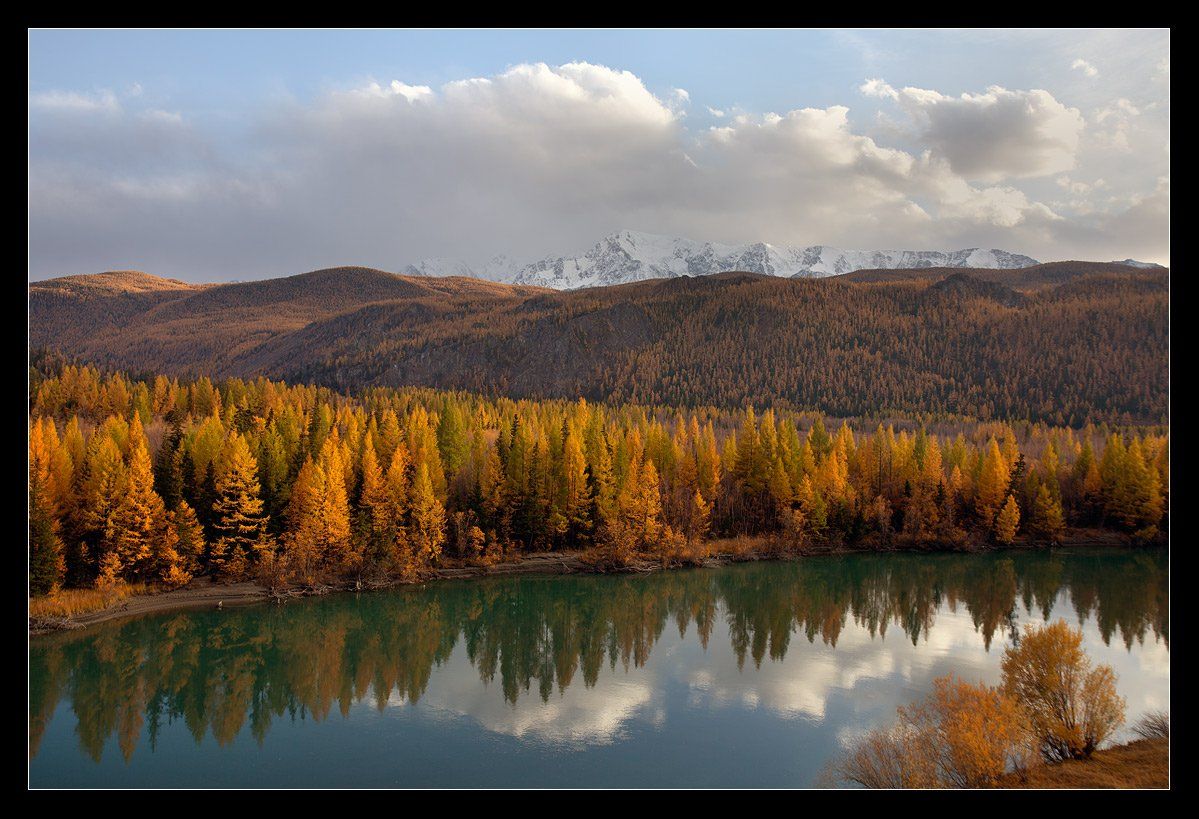 алтай ,река, чуя, осень, Виктория Роготнева