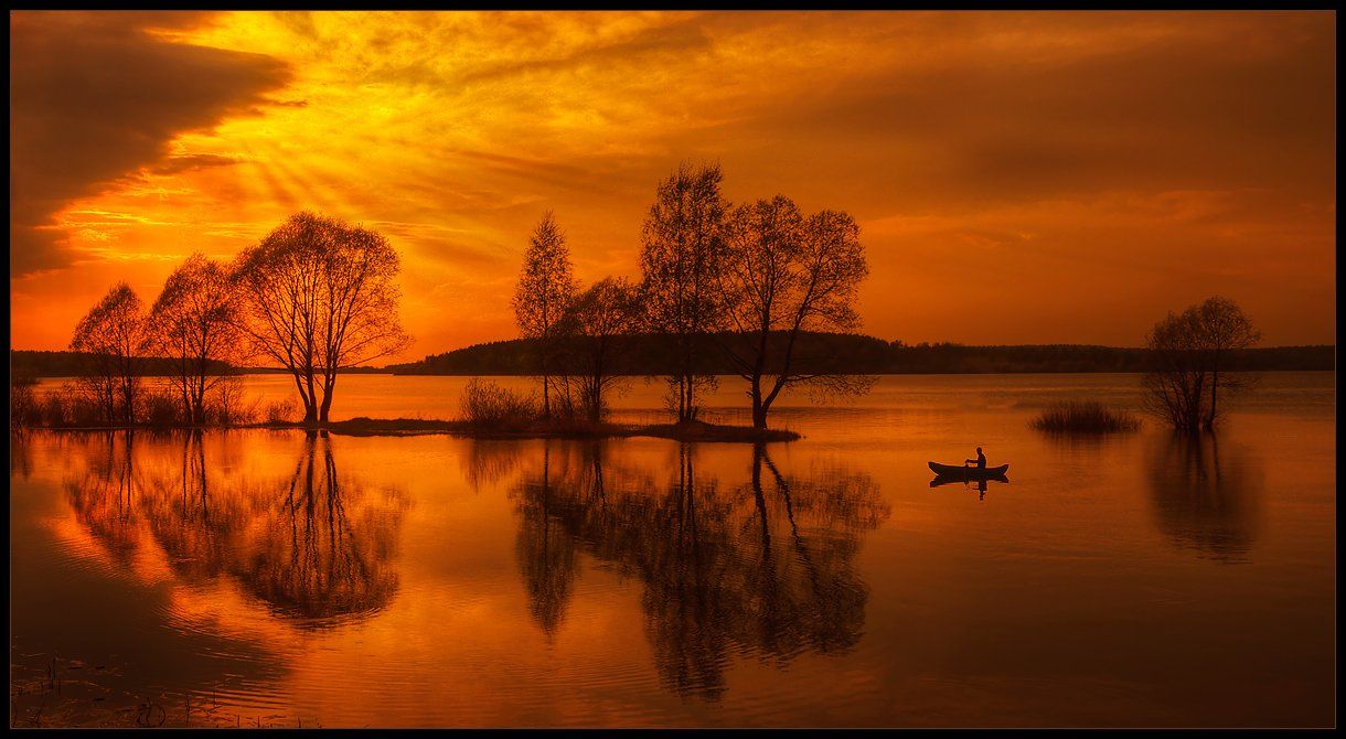 закат, деревья, вода, отражения, Oleg Dmitriev
