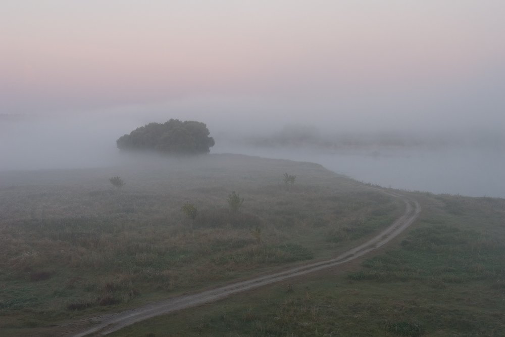 утро, туман, река, Art Loo