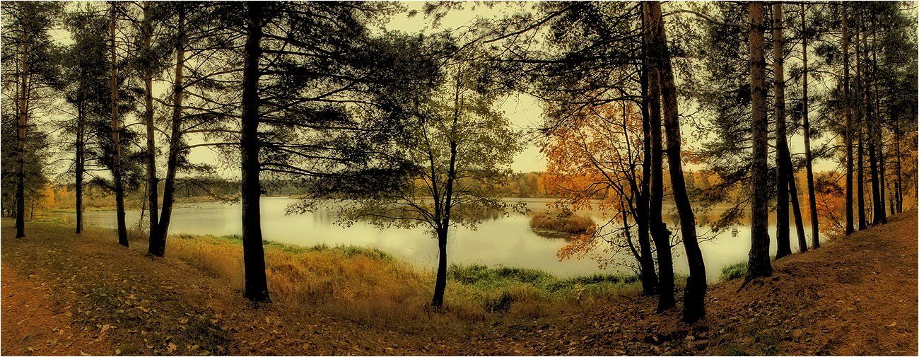 осень, природа, пейзаж, озеро, панорама, SvetLana