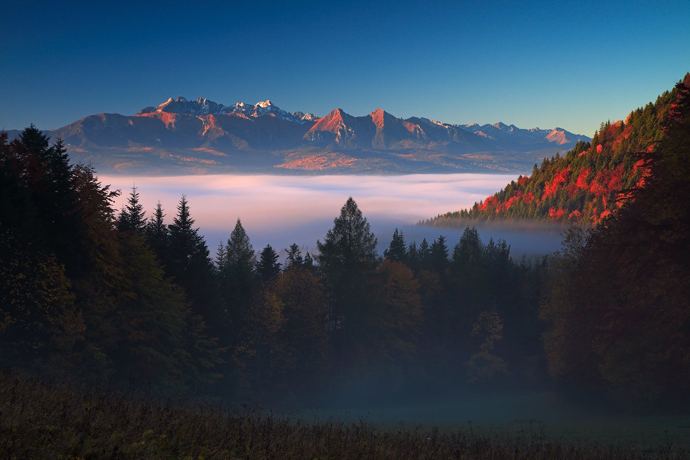tatras, mountains, morning, autumn, trees, fog, light, Jacek Lisiewicz