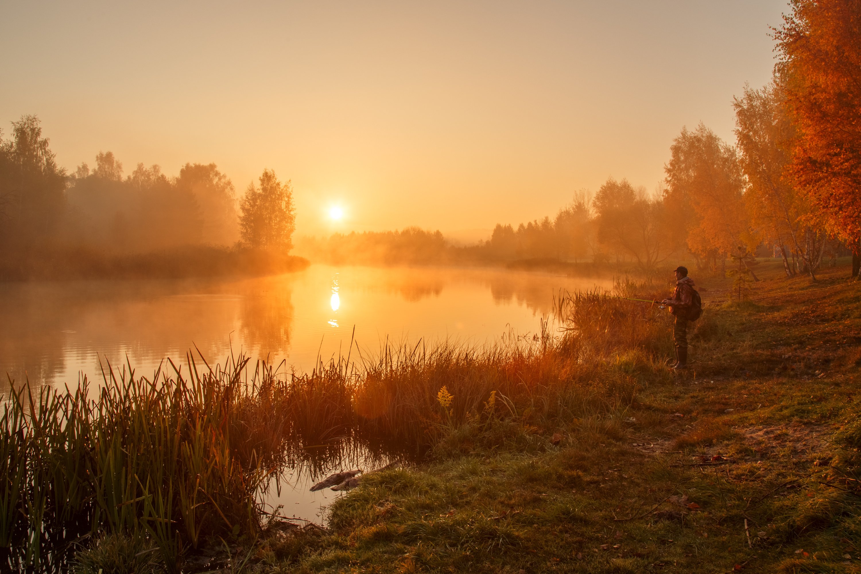 утро, осень, туман, рассвет, тишина, октябрь, рыбалка, минск, беларусь, Andrey Kozlov