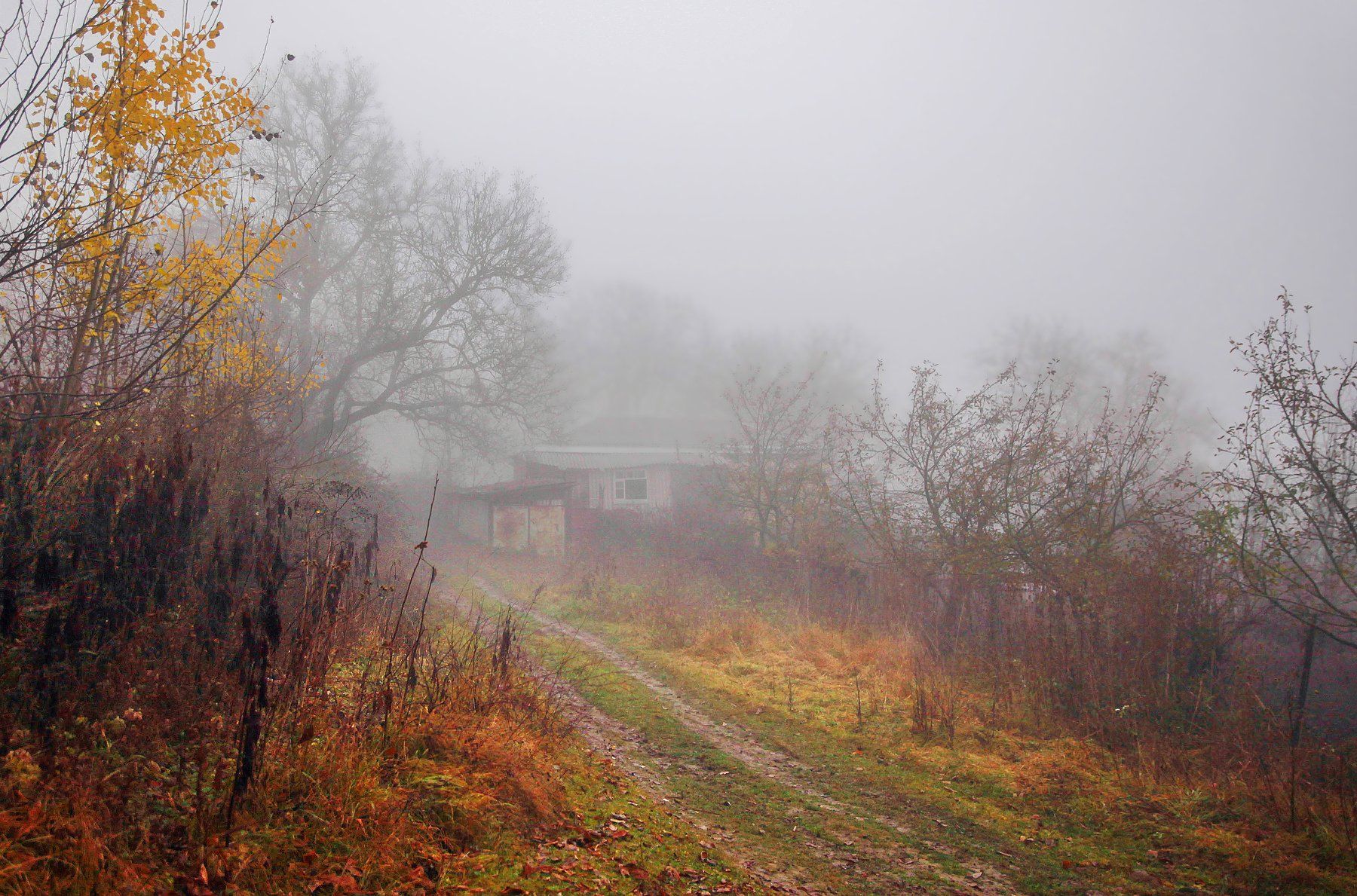 село,осень,лес,горы,природа,дерево,, Marat Magov